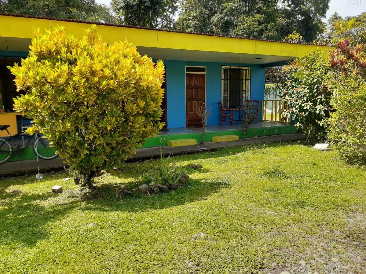 Rooms Palmeras Cahuita Exterior foto