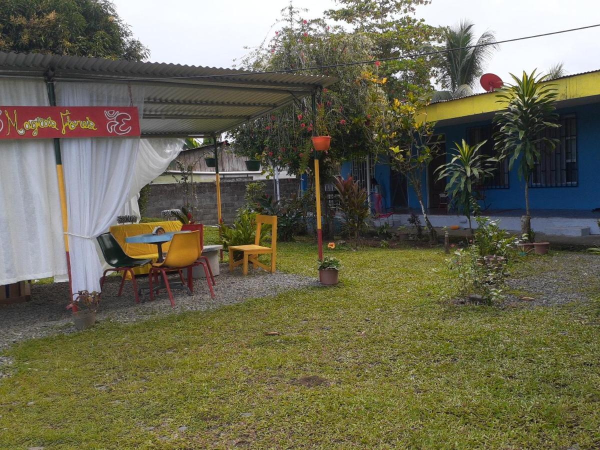 Rooms Palmeras Cahuita Exterior foto