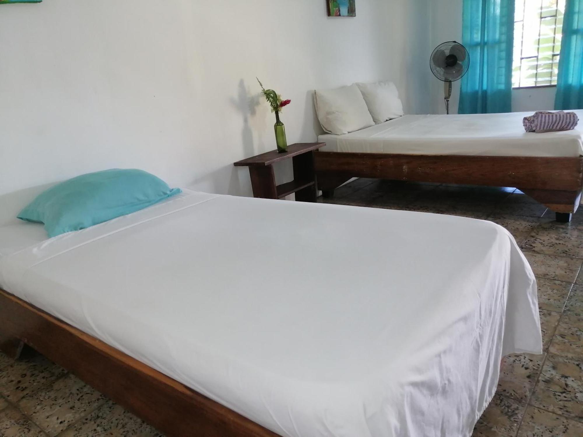 Rooms Palmeras Cahuita Exterior foto